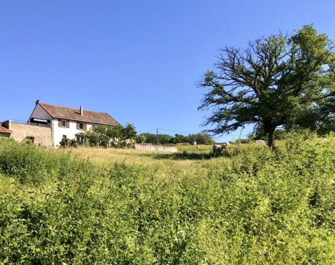 Chambre Funky - Gite Les Zazous Bed & Breakfast Lormes Eksteriør bilde